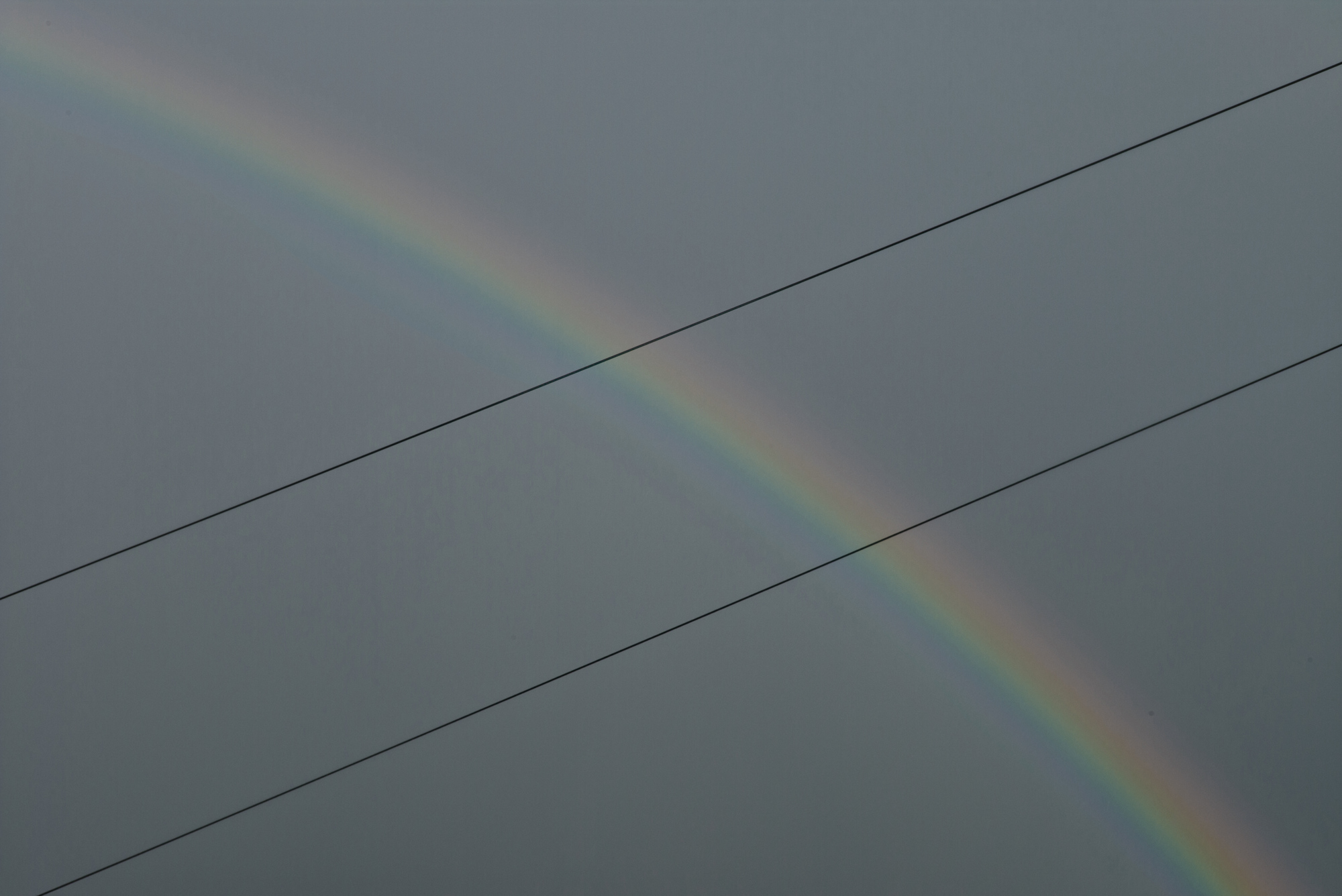 DBRainbow.JPG